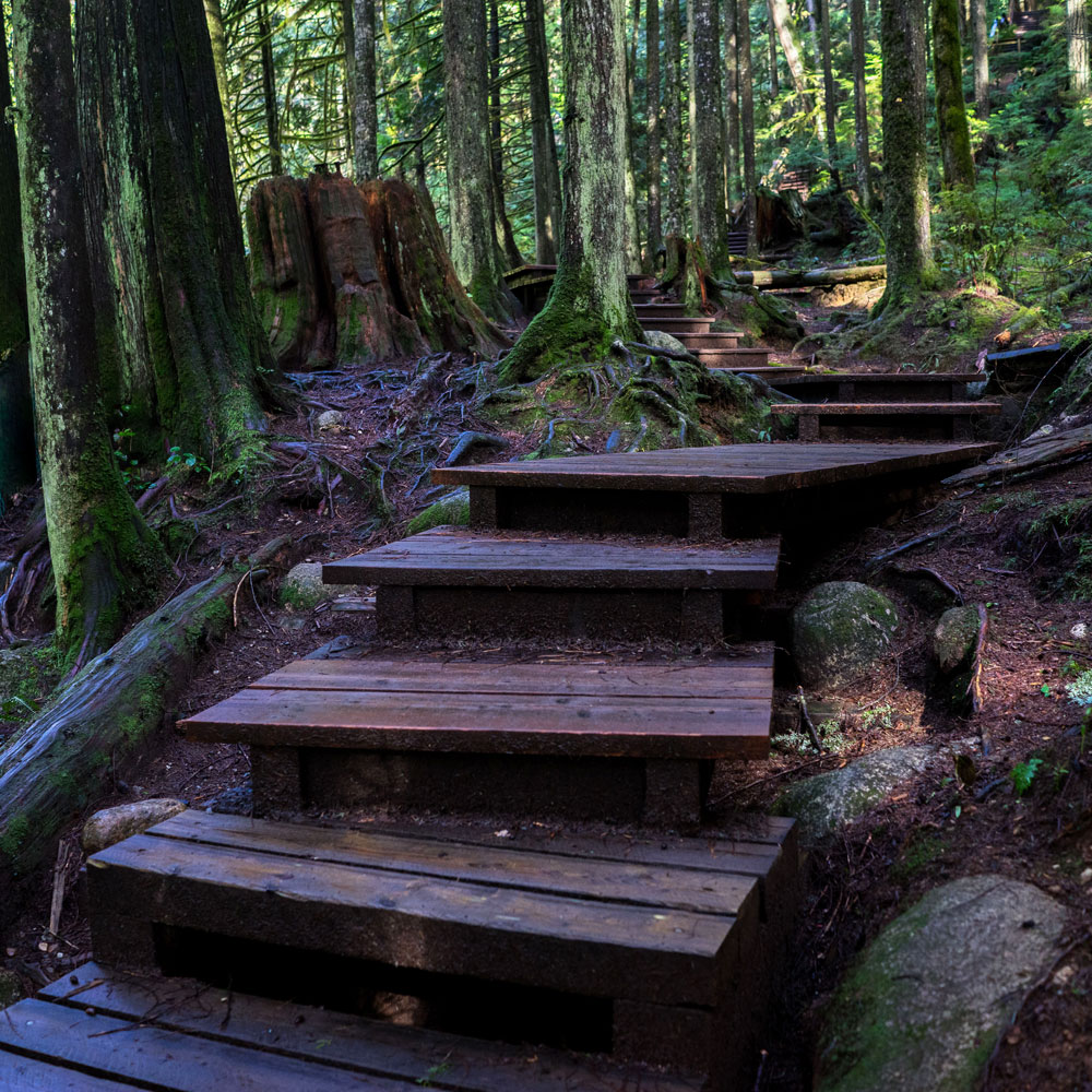 Best North Vancouver Hikes - Danielle Connor Blog