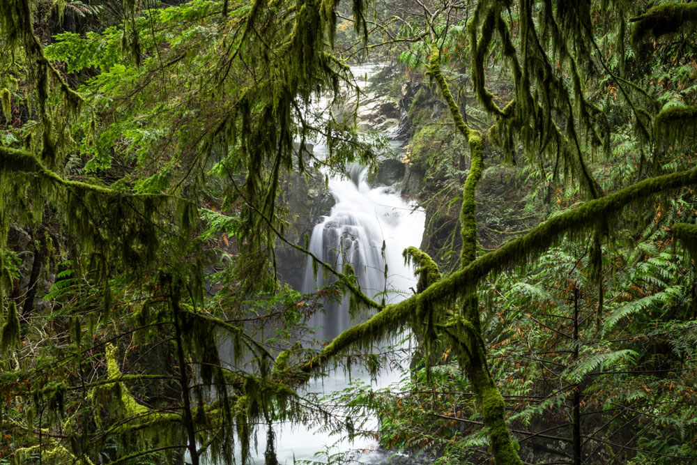 Best North Vancouver Hikes - Danielle Connor Blog